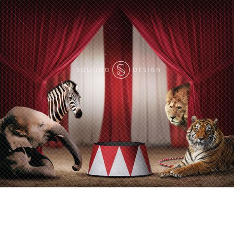 Circus Animals Digital Backdrop – Squijoo.com