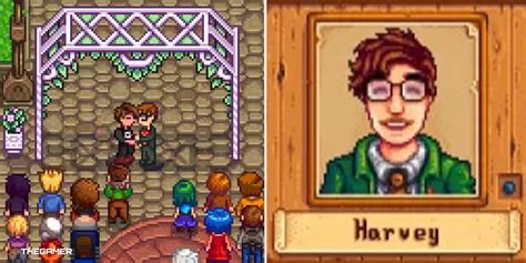 Stardew Valley: A Complete Guide to Marrying Harvey