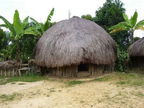 Honai House, Papua, Indonesia | Rumah, Arsitektur, Desain