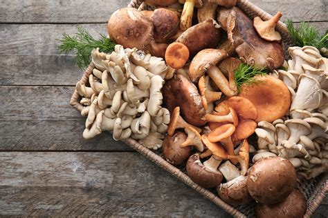 39 Different Types of Edible Mushrooms - Clean Green Simple