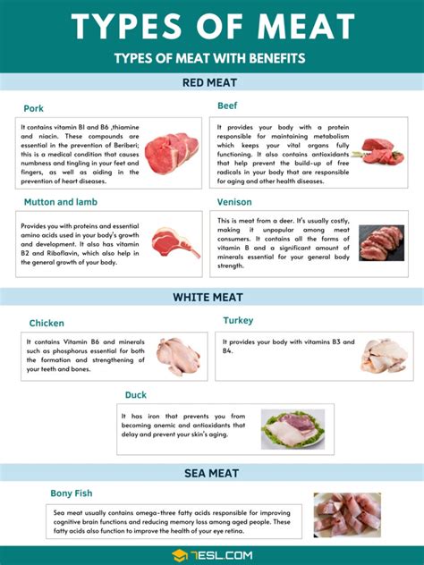 Types of Meat and List of Meat and Seafood with Pictures • 7ESL