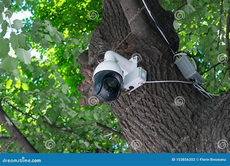 Surveillance CCTV 360 Camera Mounted on a Tree in the Park Stock Photo ...