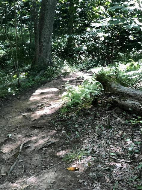 North Valley Trail - Virginia | AllTrails