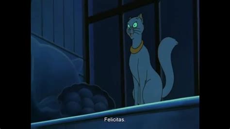 Image - Felicity (16).png - Felidae Wiki