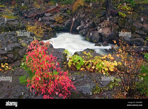 Natural Bridge where the Rogue River goes underground Rogue River Wild ...