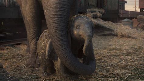 Review: Tim Burton's 'Dumbo' will be soaring for many years to come | Datebook