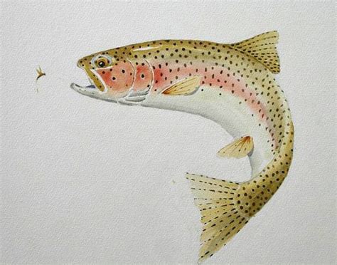 jumping trout - Google Search | Fly fishing art, Trout art, Trout painting