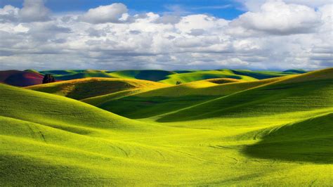 Grassland Wallpapers - Wallpaper Cave