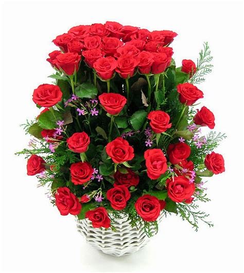 Hoa Hồng Đẹp cho ngày Valentine 2016 - Hình Ảnh Đẹp HD