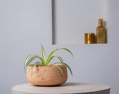 Concrete Modern Vessel Planter Blush Pink - Handpressed Collection ...