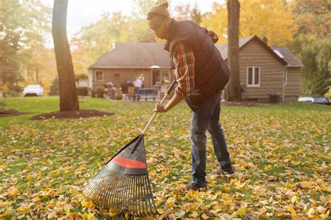 Autumn Lawn and Grass Care Tips