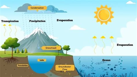 What is Condensation? [VIDEO] | Science Explanations for Kids