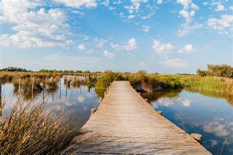 Discover the Camargue - Trip My France