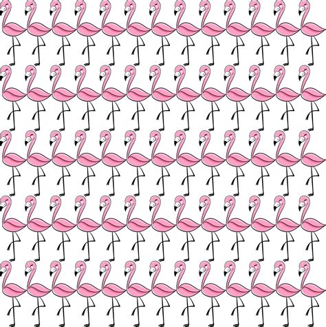 Flamingo wallpaper, illustration, vector on white background. 13562222 Vector Art at Vecteezy