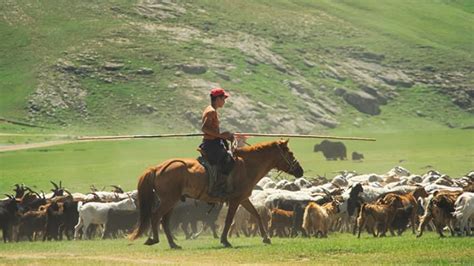 Mongolian nomads create shared funds and financial security | Devex