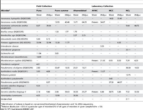 Serratia Infections | Semantic Scholar