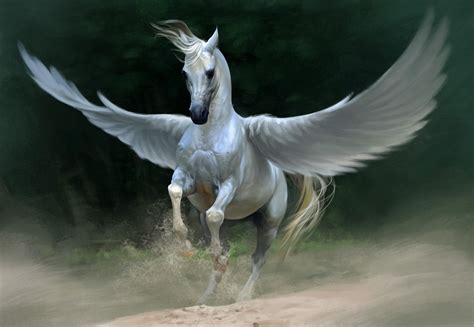 Rebekah's Remarks: All You Ever Needed to Know about Pegasi~Guest Post