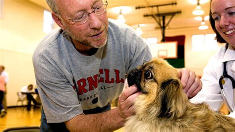 Large Animal Vet Schools - School Choices