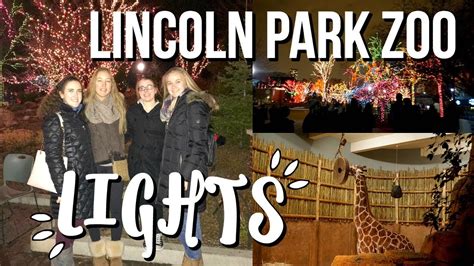 Lincoln Park Zoo Christmas Lights!! | VLOGMAS DAY 17 - YouTube