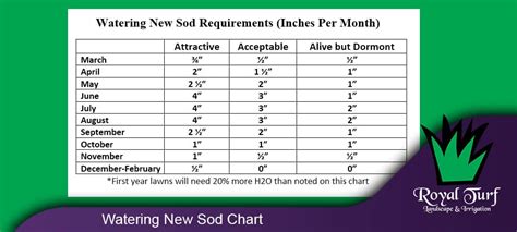 Watering New Sod | Watering Schedule & Chart For Each Season