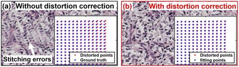 Pincushion distortion correction. (a) Image stitching errors due to... | Download Scientific Diagram