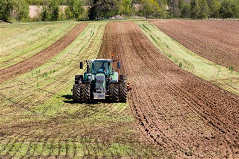 Harrowing Images – Browse 137,580 Stock Photos, Vectors, and Video | Adobe Stock