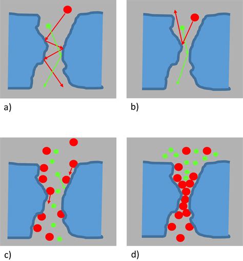 Fabrication and function of polymer membranes