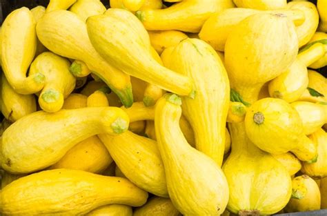 How to Cook Crookneck Squash: Tips for Freezing and Recipes | livestrong