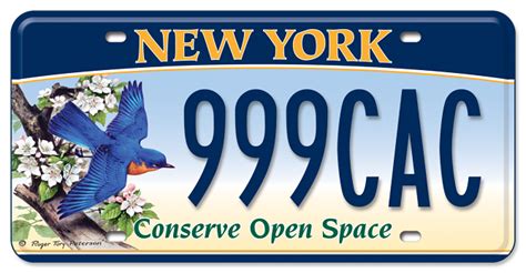 New York State License Plate Choices