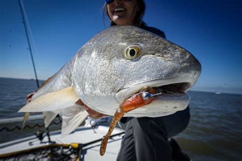 Meet the Redfish: How and Where to Catch a Red Drum | GearJunkie