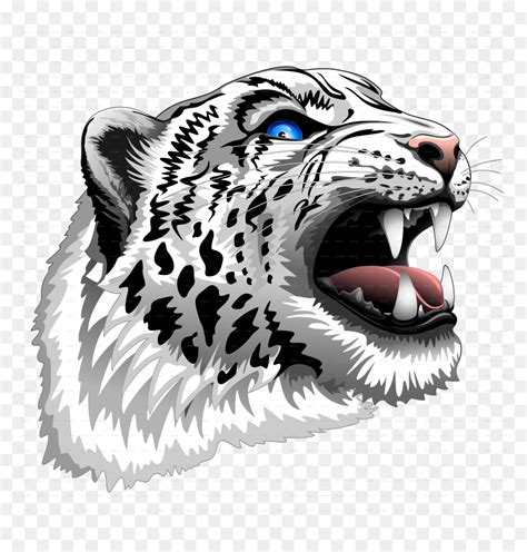 Snow Leopard Head Clipart, HD Png Download - vhv