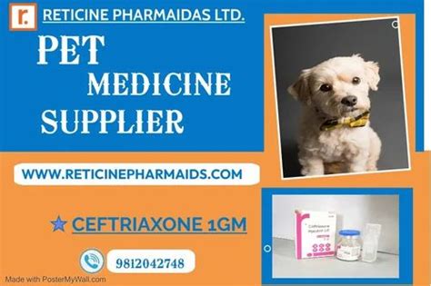 PET MEDICINE SUPPLIER at Rs 650 in Kurukshetra | ID: 2852331794091