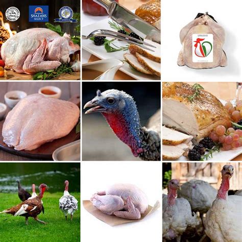 Halal turkey online delivery direct to your door - Feed the Lion