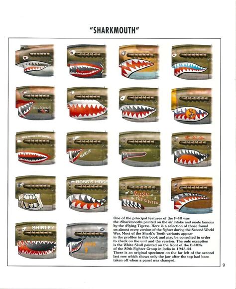 Curtiss P-40 Warhawk "sharkmouth" nose art variations | Nose art, Airplane art, Vintage aircraft