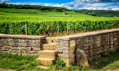 Interesting Facts about Vosne-Romanée in Burgundy region | Winetourism.com