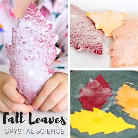 Grow Salt Crystal Leaves For Fall Science - Little Bins for Little Hands