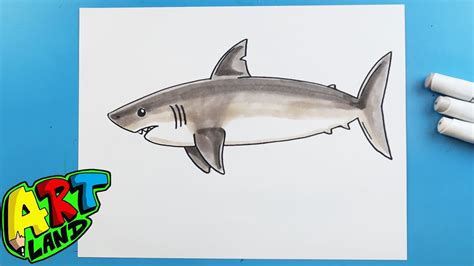 How to Draw and Color a Shark - YouTube