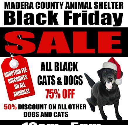 madera-county-animal-shelter-madera- - Yahoo Local Search Results