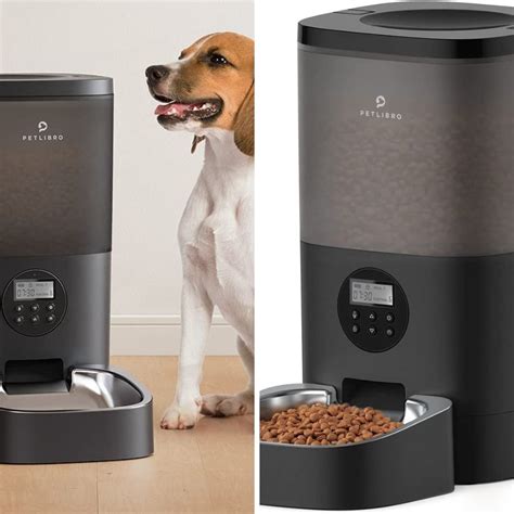 Say Goodbye To Hungry Pets With These Amazing Auto-Feeders!