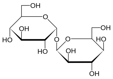 Disaccharides | Structure, Function, Examples & List (2022)