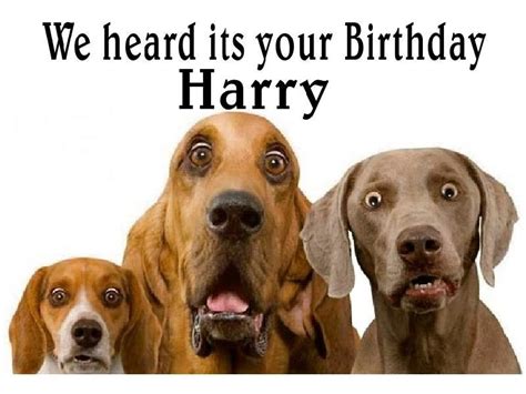 funny cute Surprised dogs birthday Card Personalised funny