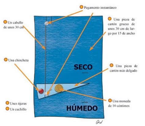 Experimentos en Educación Primaria e Infantil: Un higrómetro casero