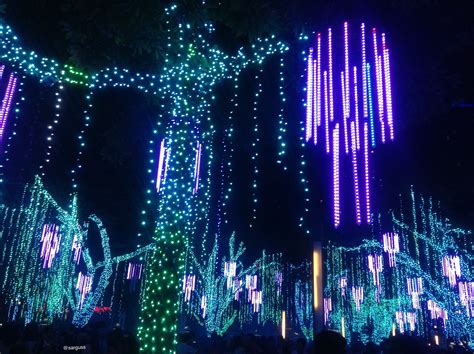 Throwback: Festival of Lights – A Little Bit of Everything…