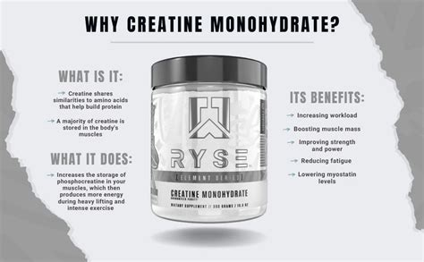 Ryse | Creatine Monohydrate (300 grams) | Element Series