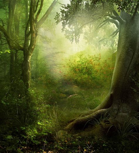 Enchanted Forest Backgrounds - Wallpaper Cave