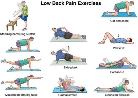 Treating Back Pain Without Drugs – Auxiliary Memory