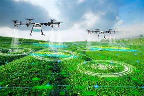 Precision agriculture: the hype around drone technology - Bearing Tips