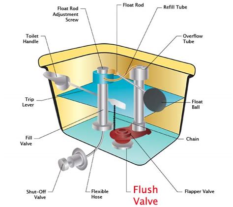 Parts Of A Toilet: With Parts Of Toilet Seat And Tank, 49% OFF