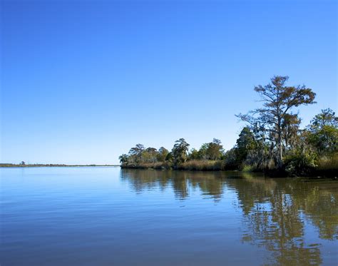 The Flight Continues...: The Altamaha River