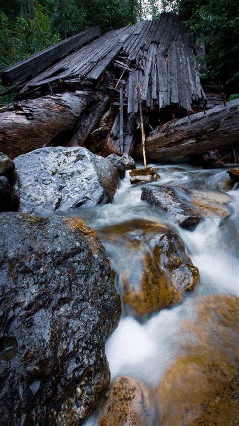 Effects of flooding: Positive, Negative, Examples - Yo Nature